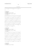 ANTIBODIES AGAINST CHIKUNGUNYA VIRUS AND USES THEREOF diagram and image