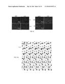 CAMELID SINGLE HEAVY-CHAIN ANTIBODY DIRECTED AGAINST CHROMATIN AND USES OF     SAME diagram and image