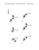 BISPECIFIC T CELL ACTIVATING ANTIGEN BINDING MOLECULES diagram and image