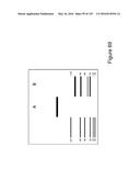 BISPECIFIC T CELL ACTIVATING ANTIGEN BINDING MOLECULES diagram and image