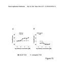 BISPECIFIC T CELL ACTIVATING ANTIGEN BINDING MOLECULES diagram and image