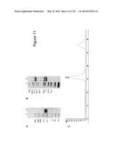 BISPECIFIC T CELL ACTIVATING ANTIGEN BINDING MOLECULES diagram and image