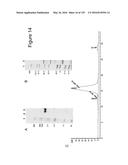 BISPECIFIC T CELL ACTIVATING ANTIGEN BINDING MOLECULES diagram and image