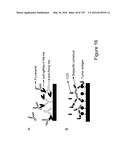 BISPECIFIC T CELL ACTIVATING ANTIGEN BINDING MOLECULES diagram and image