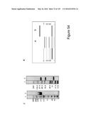 BISPECIFIC T CELL ACTIVATING ANTIGEN BINDING MOLECULES diagram and image