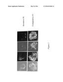 High Block, Tack and Scrub Resistant Coating Composition diagram and image