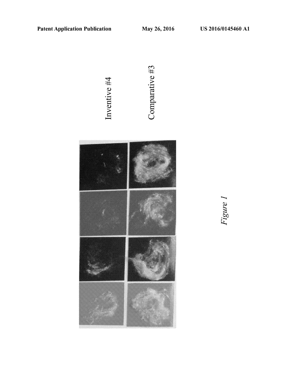 High Block, Tack and Scrub Resistant Coating Composition - diagram, schematic, and image 02