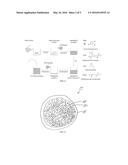 Compositions Comprising Encapsulated Actives within Droplets and other     Compartments diagram and image