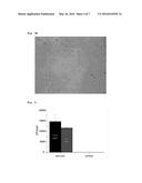 AXENIC INOCULATION SYSTEM FOR MICROALGAE USING TR TUBE OF TRIIODIDE RESIN     AND METHOD FOR CULTURING AXENIC CULTURE diagram and image