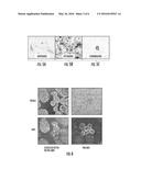 CELL CULTURE ARTICLE AND METHODS THEREOF diagram and image