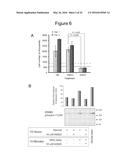 Compositions and Methods Useful for Culturing Differentiable Cells diagram and image