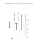 Compositions and Methods Useful for Culturing Differentiable Cells diagram and image