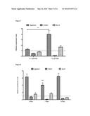 KIT AND METHOD FOR PROMOTING MESENCHYMAL STEM CELL DIFFERENTIATION diagram and image