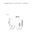 METHOD FOR DIFFERENTIATION OF PLURIPOTENT STEM CELLS INTO MULTI-COMPETENT     RENAL PRECURSORS diagram and image