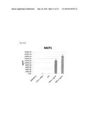 METHOD FOR DIFFERENTIATION OF PLURIPOTENT STEM CELLS INTO MULTI-COMPETENT     RENAL PRECURSORS diagram and image