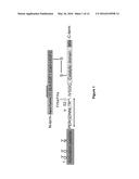 FACTOR X MUTANTS diagram and image