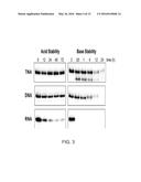 Nuclease-Resistant DNA Analogues diagram and image