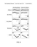 Nuclease-Resistant DNA Analogues diagram and image