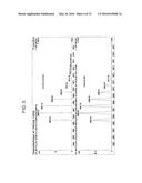 Nuclease-Resistant DNA Analogues diagram and image