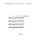 Nuclease-Resistant DNA Analogues diagram and image