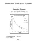 Nuclease-Resistant DNA Analogues diagram and image