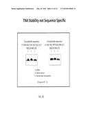 Nuclease-Resistant DNA Analogues diagram and image