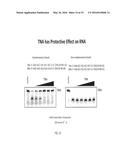 Nuclease-Resistant DNA Analogues diagram and image