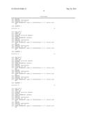 Nuclease-Resistant DNA Analogues diagram and image