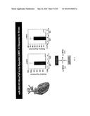 MICRO-RNA FAMILY THAT MODULATES FIBROSIS AND USES THEREOF diagram and image