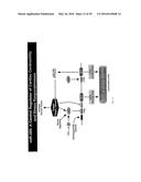 MICRO-RNA FAMILY THAT MODULATES FIBROSIS AND USES THEREOF diagram and image