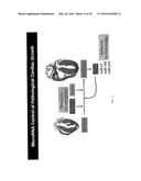 MICRO-RNA FAMILY THAT MODULATES FIBROSIS AND USES THEREOF diagram and image