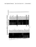 MICRO-RNA FAMILY THAT MODULATES FIBROSIS AND USES THEREOF diagram and image