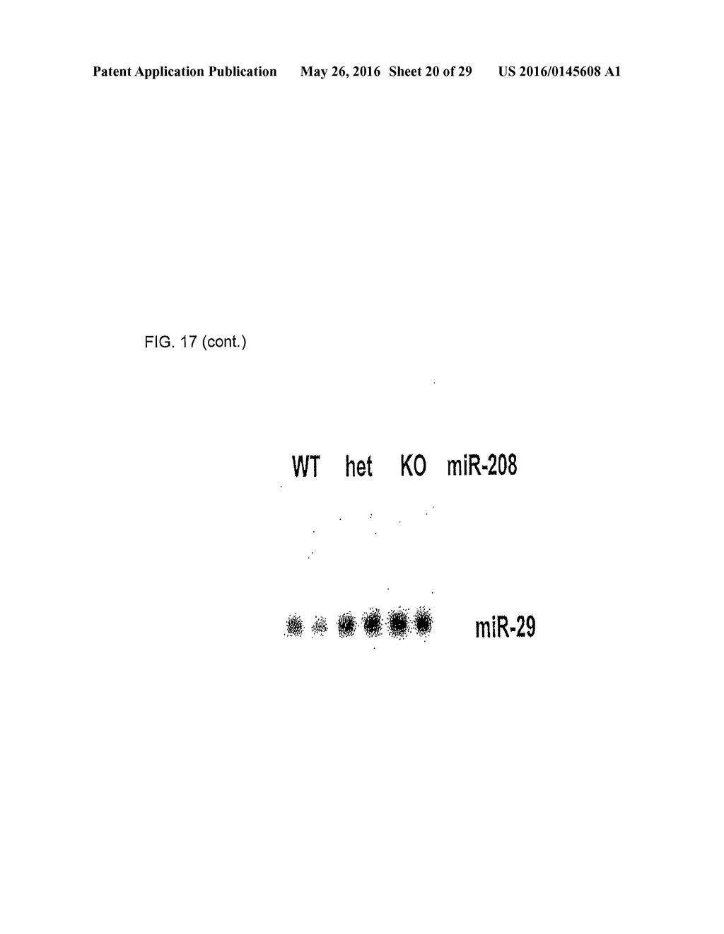 MICRO-RNA FAMILY THAT MODULATES FIBROSIS AND USES THEREOF - diagram, schematic, and image 21