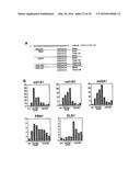 MICRO-RNA FAMILY THAT MODULATES FIBROSIS AND USES THEREOF diagram and image