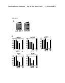 MICRO-RNA FAMILY THAT MODULATES FIBROSIS AND USES THEREOF diagram and image