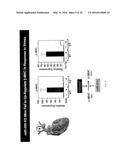 MICRO-RNA FAMILY THAT MODULATES FIBROSIS AND USES THEREOF diagram and image