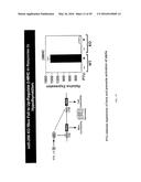 MICRO-RNA FAMILY THAT MODULATES FIBROSIS AND USES THEREOF diagram and image