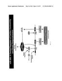 MICRO-RNA FAMILY THAT MODULATES FIBROSIS AND USES THEREOF diagram and image