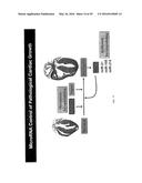 MICRO-RNA FAMILY THAT MODULATES FIBROSIS AND USES THEREOF diagram and image