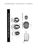 MICRO-RNA FAMILY THAT MODULATES FIBROSIS AND USES THEREOF diagram and image