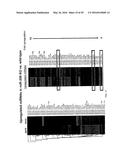 MICRO-RNA FAMILY THAT MODULATES FIBROSIS AND USES THEREOF diagram and image