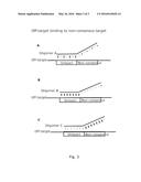 OLIGOMERS WITH IMPROVED OFF-TARGET PROFILE diagram and image