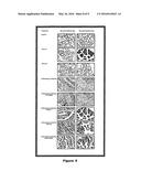 RNAi Agent for Inhibition of Chikungunya Virus diagram and image