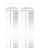 LIVER CANCER RELATED GENES-SPECIFIC siRNA, DOUBLE-STRANDED OLIGO RNA     MOLECULES COMPRISING THE siRNA, AND COMPOSITION FOR PREVENTING OR     TREATING CANCER COMPRISING THE SAME diagram and image