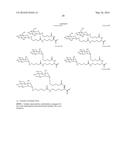 COMPOSITIONS AND METHODS FOR INHIBITING EXPRESSION OF TMPRSS6 GENE diagram and image