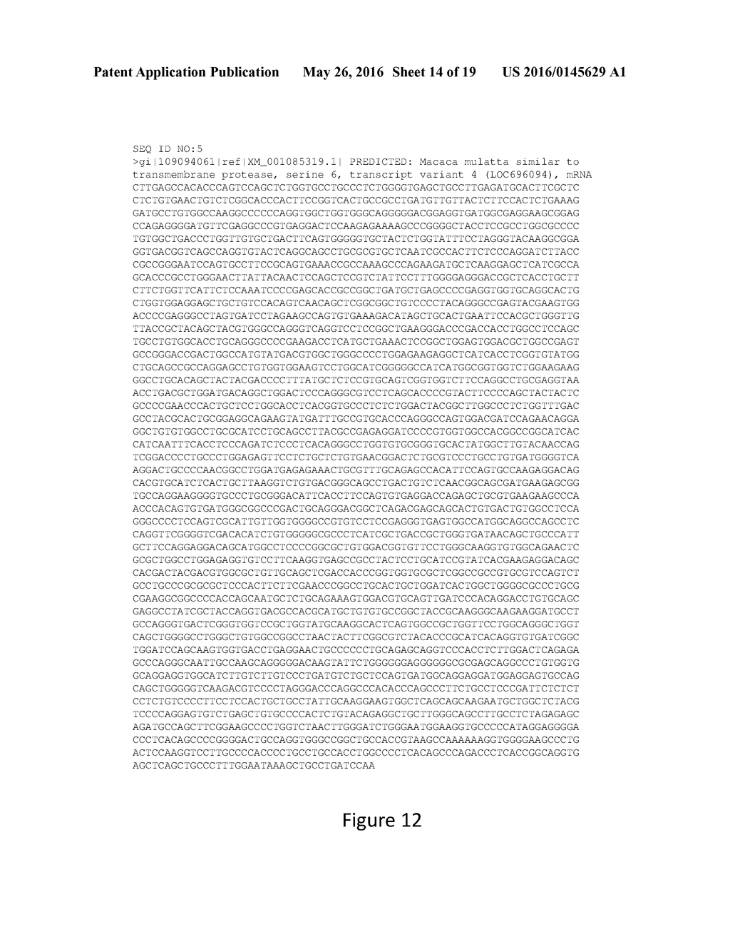 TMPRSS6 iRNA COMPOSITIONS AND METHODS OF USE THEREOF - diagram, schematic, and image 15