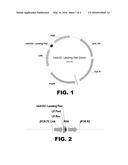 TARGETED INTEGRATION diagram and image