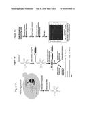 Poly(UG) Polymerase, Constructs, and Methods of Making and Using the Same diagram and image