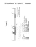 Poly(UG) Polymerase, Constructs, and Methods of Making and Using the Same diagram and image