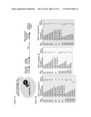 Poly(UG) Polymerase, Constructs, and Methods of Making and Using the Same diagram and image